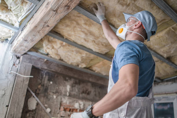 Best Residential Insulation in Remlap, AL