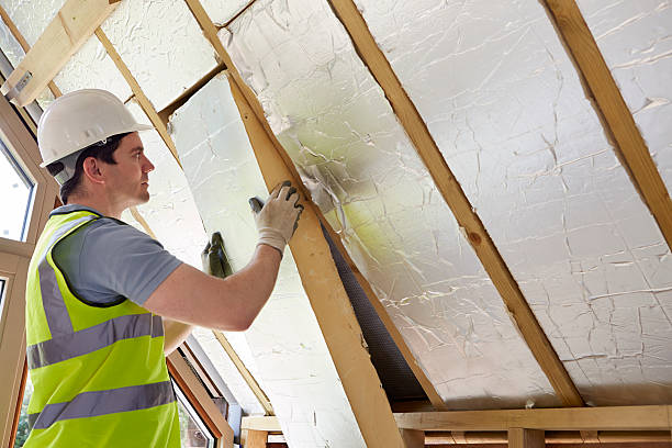 Best Insulation for Specific Applications in Remlap, AL